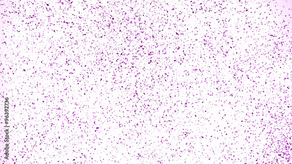 Glitter exploding against white background. Shot with high speed camera, phantom flex 4K. Slow Motion. Unedited version is included at the end of clip. Glitter exploding against white background. Shot with high speed camera, phantom flex 4K. Slow Motion. Unedited version is included at the end of clip.