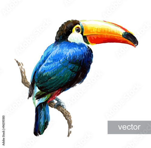 Toucan sitting on tree branch