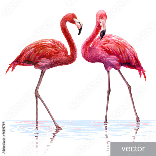 Colorful pink flamingo