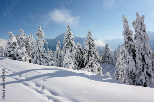 Spuren im Schnee am Rand des Winterwaldes © by paul