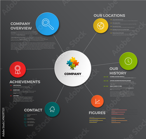 Vector Company infographic overview design template