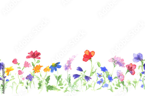 Background with drawing of watercolor wildflowers. Seamless vector banner.