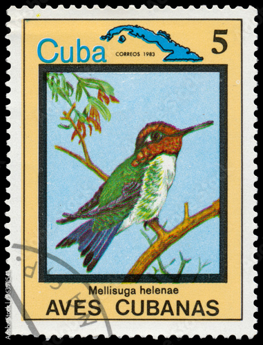 A stamp printed in Cuba shows bee hummingbird, Mellisuga helenae photo