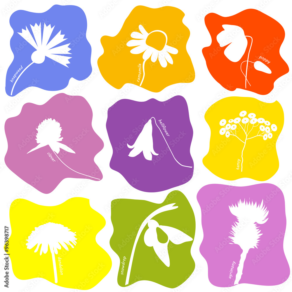 Wild flowers icons set