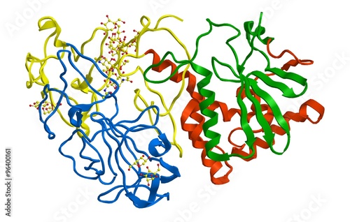 Molecular structure of ricin
