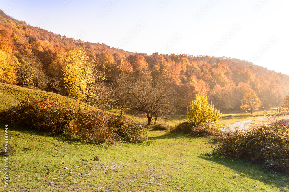 trail with river through the autumn forest
