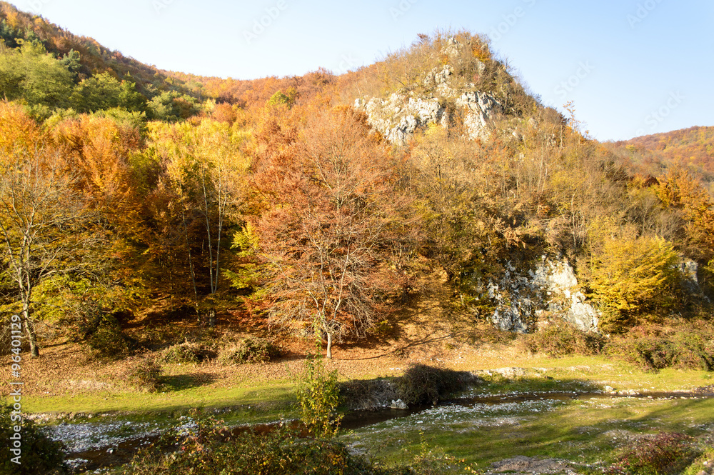 Colorful autumn landscape in the mountains
Colorful autumn landscape in the mountains