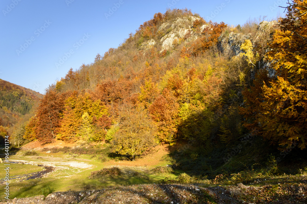 Colorful autumn landscape in the mountains
Colorful autumn landscape in the mountains