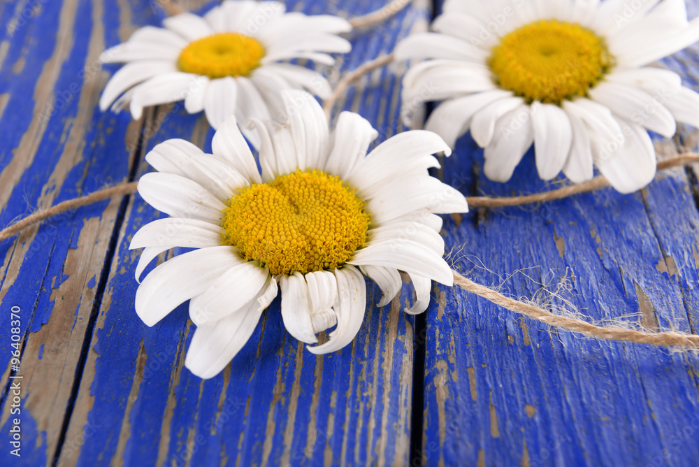 Obraz premium Fresh chamomile flowers on wooden table, closeup