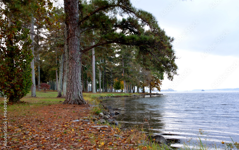 Fototapeta premium Lake Guntersville, Alabama, USA, Tennessee River. Lakeshore at a park.