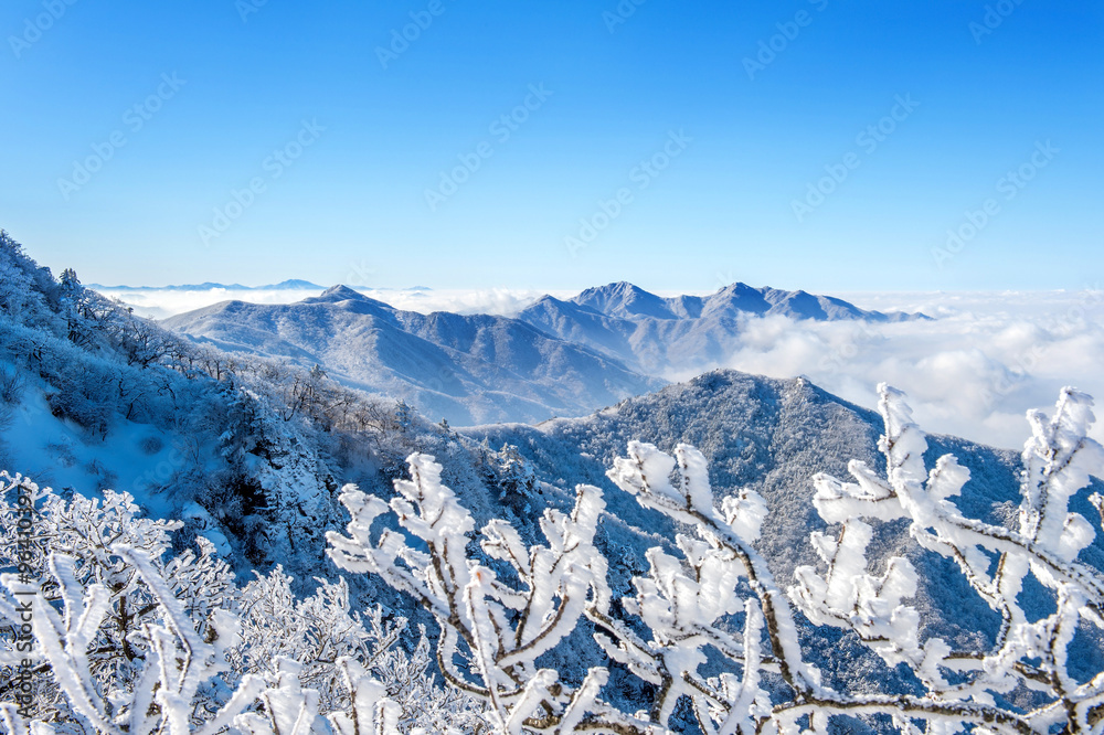 Fototapeta premium Seoraksan mountains is covered by morning fog in winter, Korea.