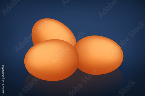 picture of egg9