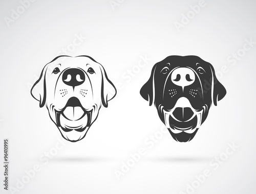 Vector image of an dog labrador head on white background