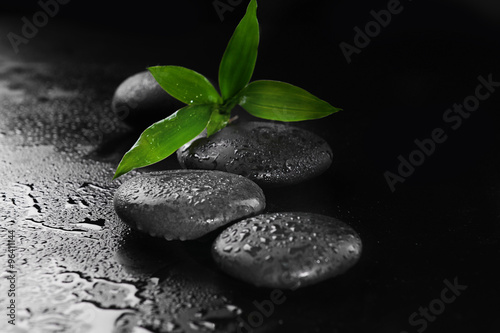 Pebbles with bamboo leaf on black background