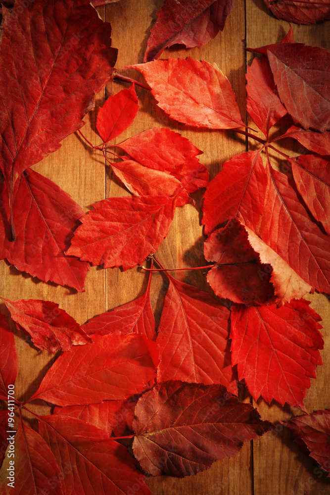 Background of red autumn leaves on wooden table, close-up Background of red autumn leaves on wooden table, close-up