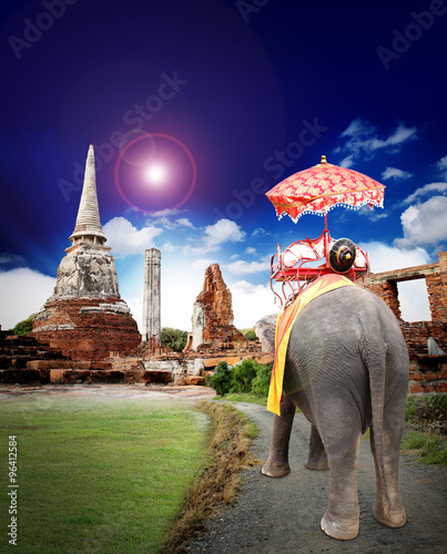 elephant thailand travel concept © jeffy1139