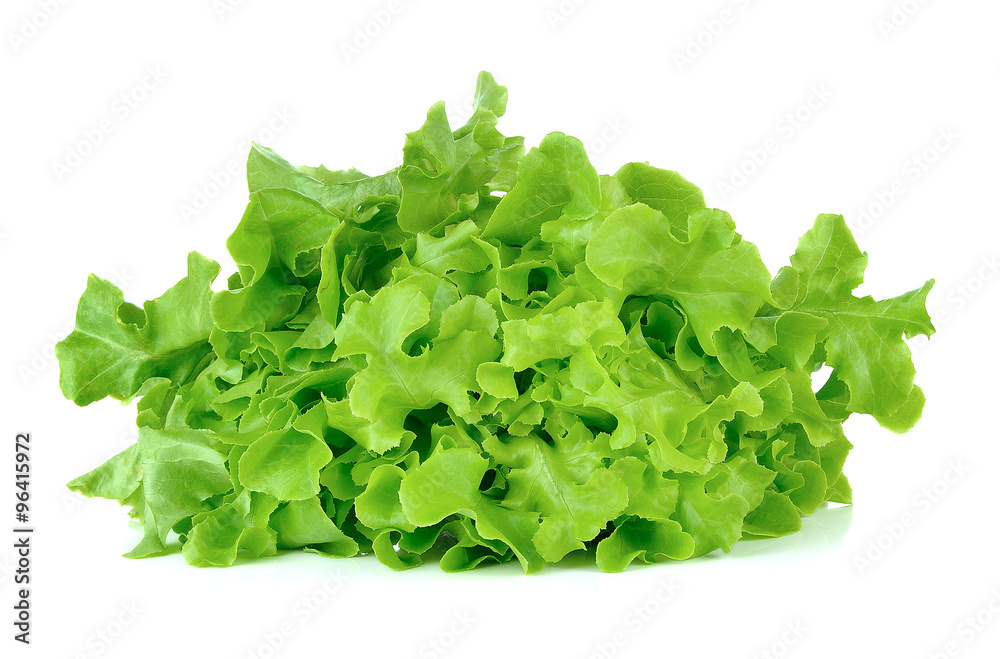 Fresh green lettuce isolated on a white Fresh green lettuce isolated on a white