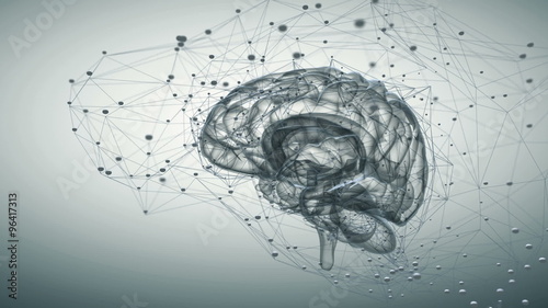 Brain activity