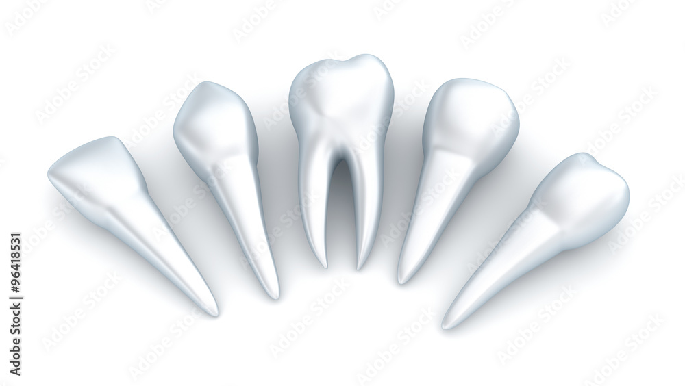 Teeth and implant, Dental concept over white Teeth and implant, Dental concept over white