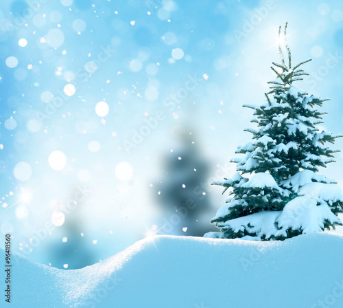 Christmas winter background with fir tree and blurred bokeh © Lilya