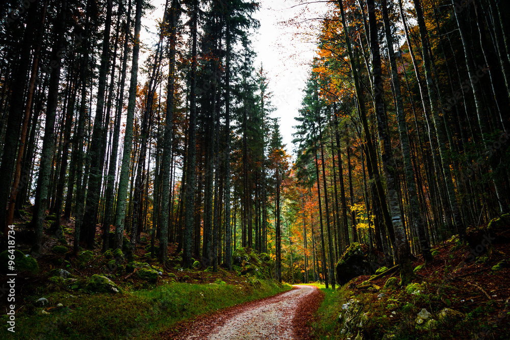 Fototapeta premium Autumn morning in the alps
