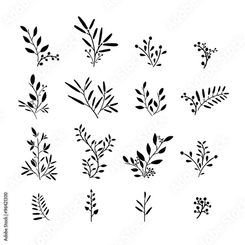 Set of monochrome plant elements. Bouquets, kits, ornaments of grass, twigs, leaves and berries. Simple style. Hand drawn. Vector
