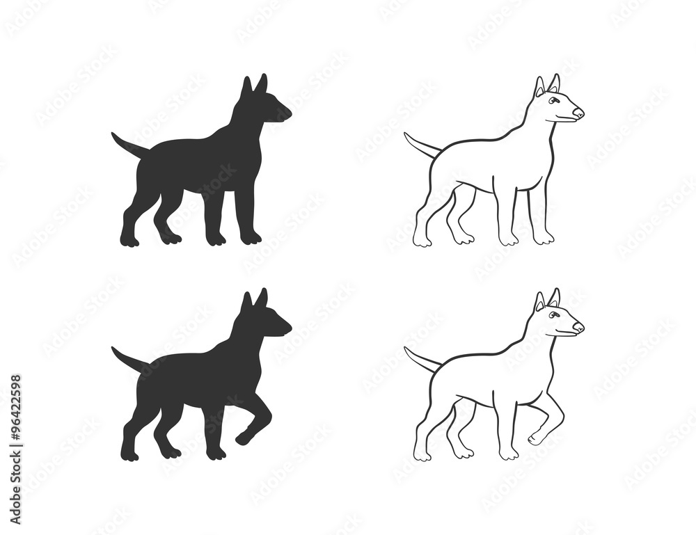 dog in different poses on an isolated background