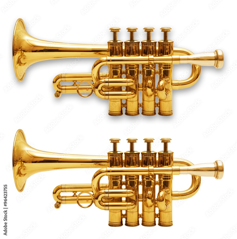 Fototapeta premium wind musical instrument isolated over white background