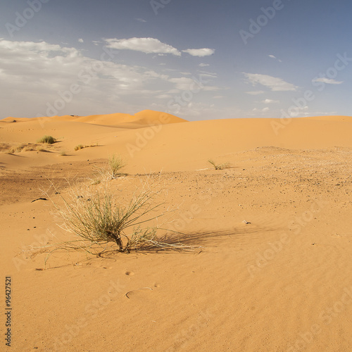 Erg Chebbi in Morocco