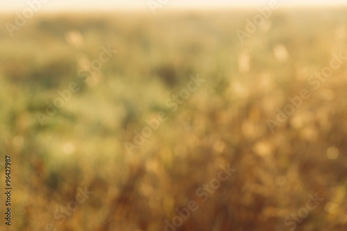 abstract natural blur background, defocused leaves, bokeh