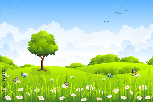 Summer landscape with flowers and butterflies