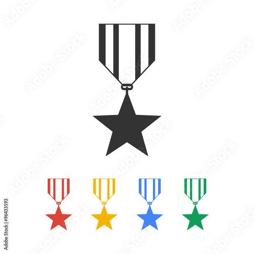 medal icon. Flat design style