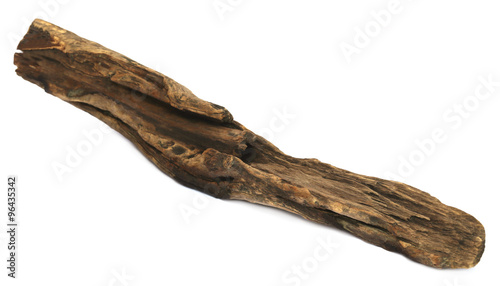 Bogwood or driftwood