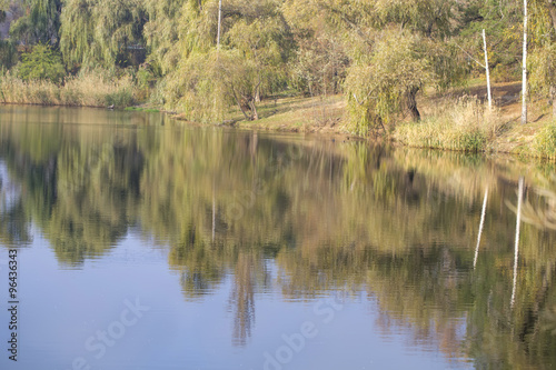 Calm lake water reflects sky, willow and birch trees