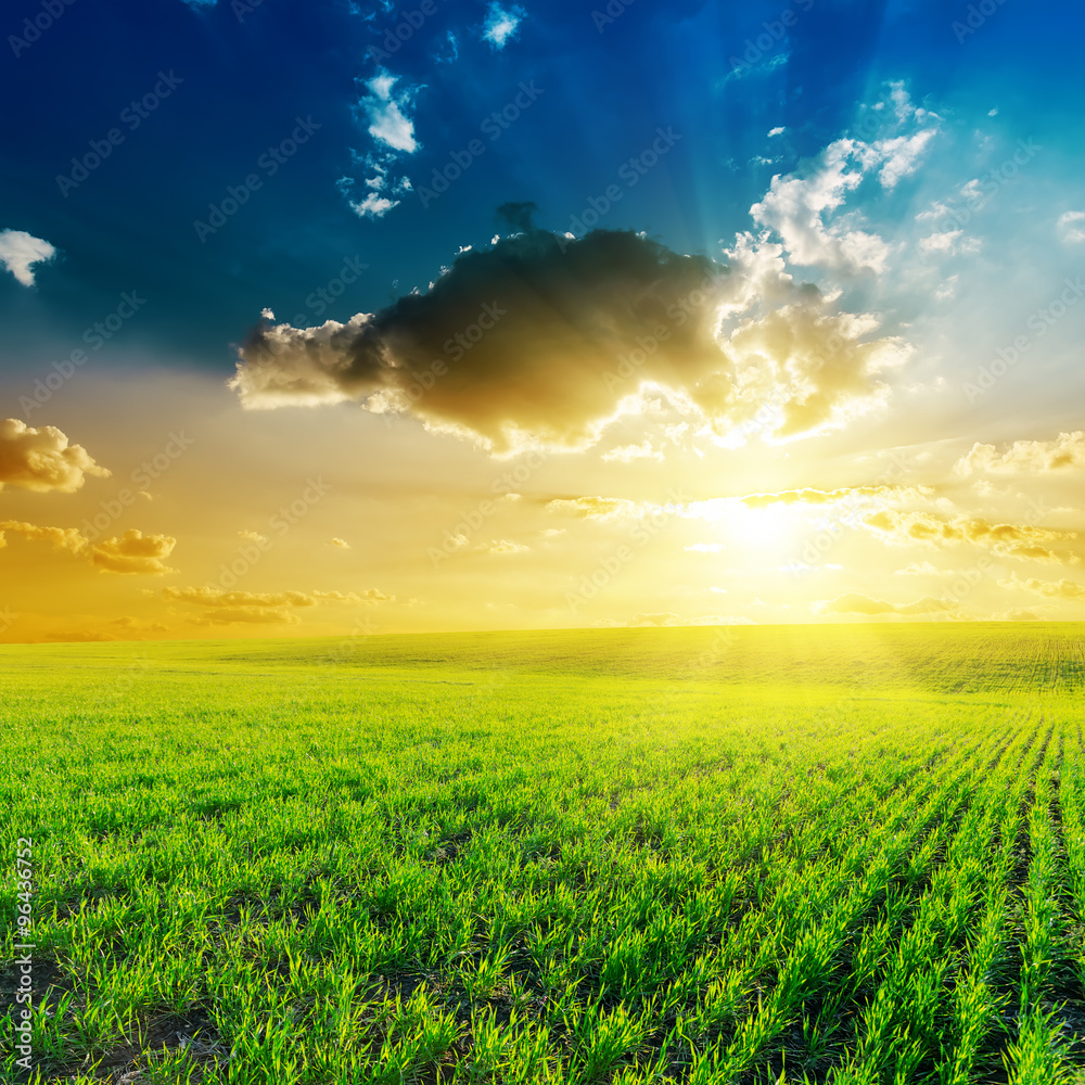 sunset in clouds and green grass field