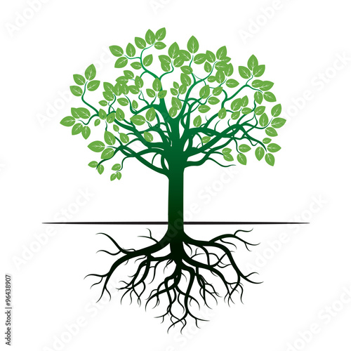 Tree and Roots. Vector Illustration.