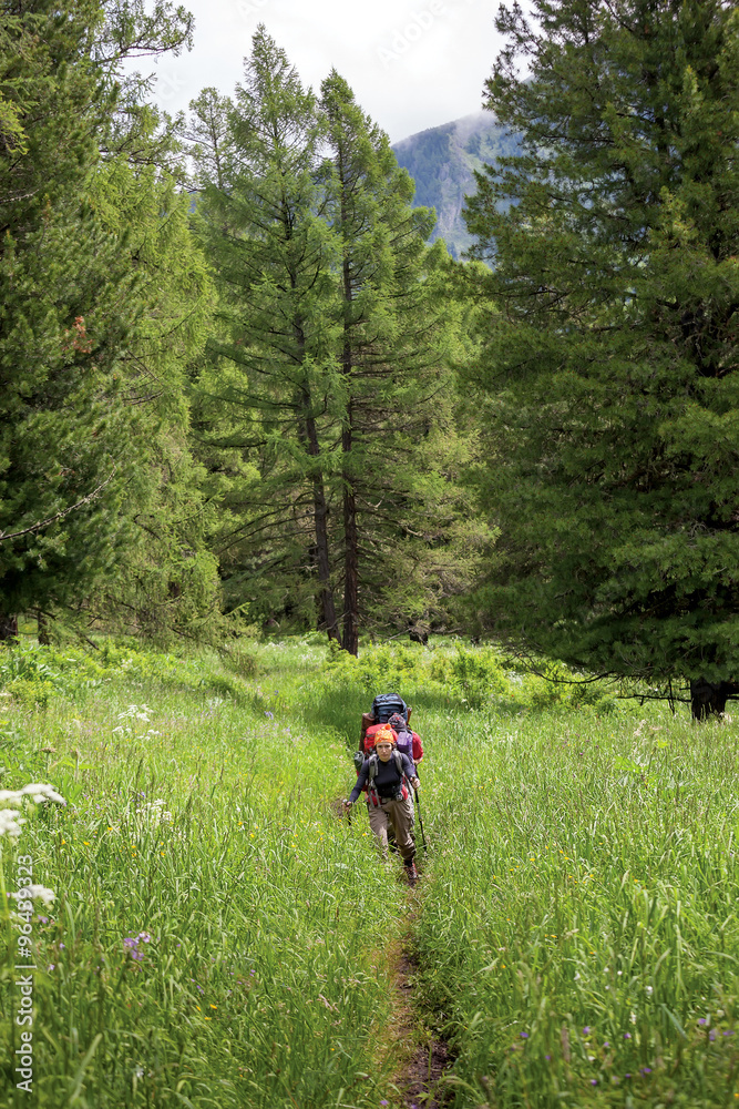 Company of young people are hiking in Altai mountains Company of young people are hiking in Altai mountains