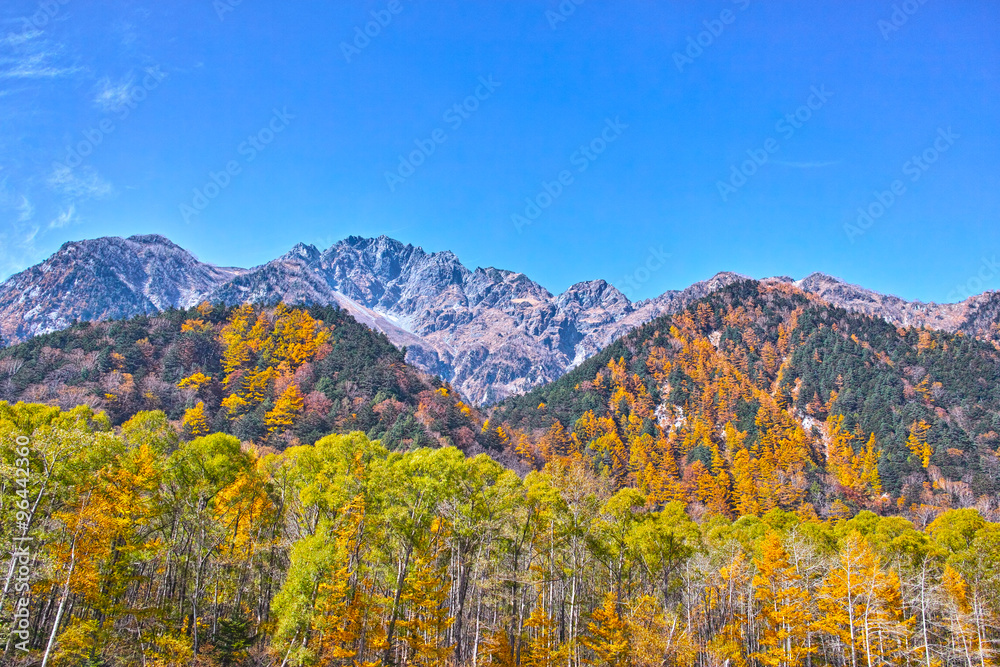 秋の上高地　横尾・徳沢間から見た前穂高岳

