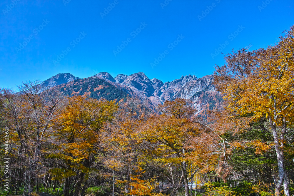 秋の上高地　徳沢付近から見た前穂高岳

