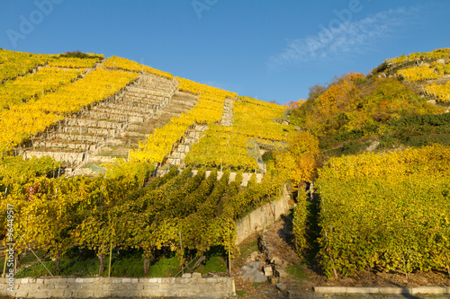 Mundelsheim Weinberge