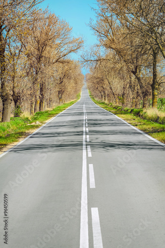 Road in Early Spring