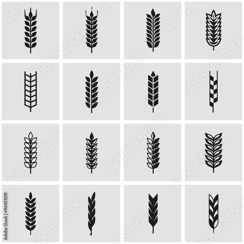 Vector black wheat ear icon set. Wheat Ear Icon Object, Wheat Ear  Icon Picture, Wheat Ear  Icon Image - stock vector