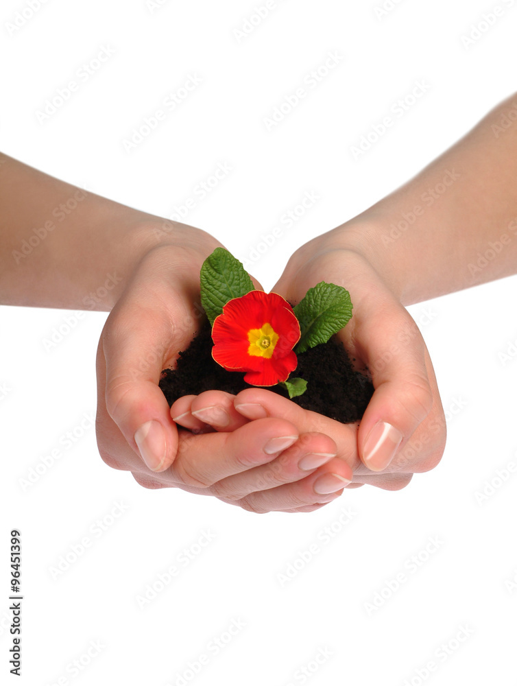 Mani - Proteggere la vita Mani - Proteggere la vita