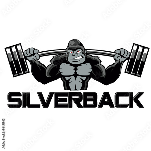 Strong gorilla silverback