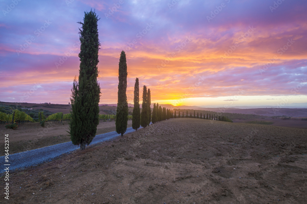 road through the Tuscan vineyard