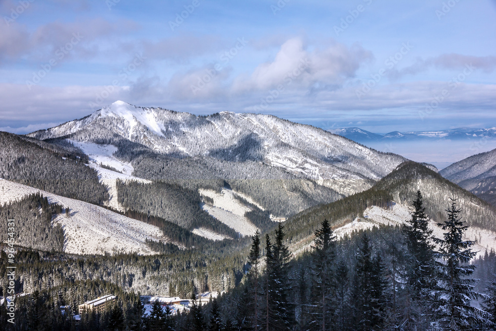 winter mountain forest snow landscape