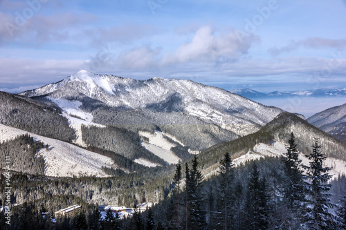 winter mountain forest snow landscape