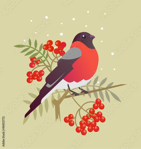 Bullfinch christmas bird. Vector cartoon art illustration