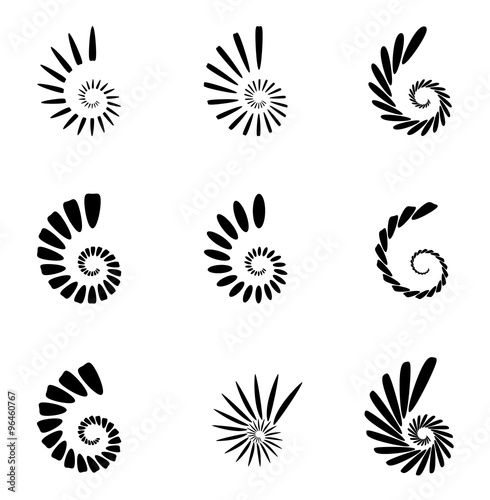 Spiral, vortex, swirl or twirl abstract monochrome graphic. Vect