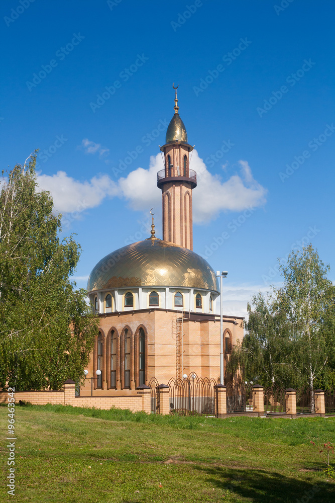 Fototapeta premium The mosque in Nizhnekamsk town (Tatarstan, Russia)